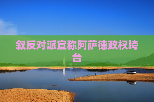 叙反对派宣称阿萨德政权垮台  第1张