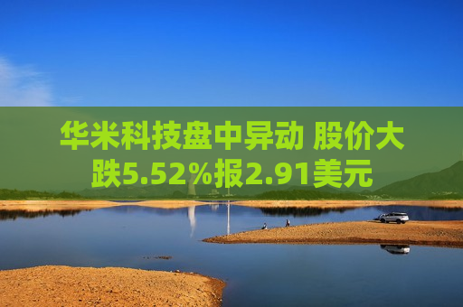 华米科技盘中异动 股价大跌5.52%报2.91美元