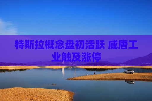 特斯拉概念盘初活跃 威唐工业触及涨停