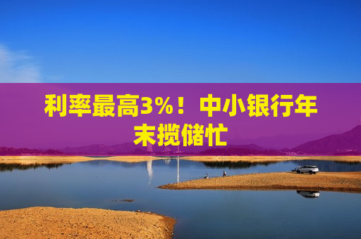 利率更高3%！中小银行年末揽储忙