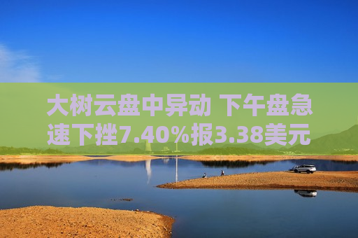 大树云盘中异动 下午盘急速下挫7.40%报3.38美元