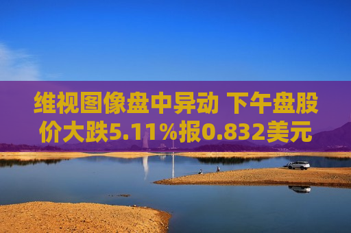 维视图像盘中异动 下午盘股价大跌5.11%报0.832美元