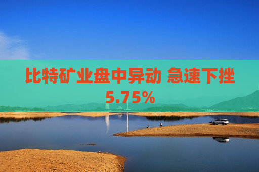 比特矿业盘中异动 急速下挫5.75%