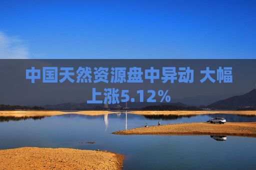 中国天然资源盘中异动 大幅上涨5.12%  第1张