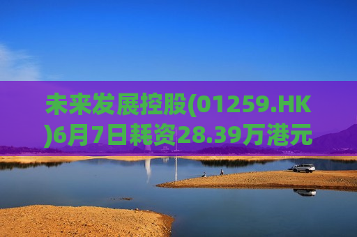 未来发展控股(01259.HK)6月7日耗资28.39万港元回购350万股  第1张