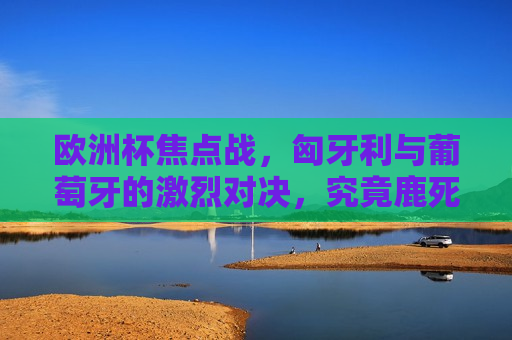 欧洲杯焦点战，匈牙利与葡萄牙的激烈对决，究竟鹿死谁手？，匈牙利与葡萄牙欧洲杯焦点战，鹿死谁手？，匈牙利与葡萄牙欧洲杯焦点战，谁将成为胜者？