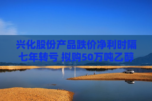 兴化股份产品跌价净利时隔七年转亏 拟购50万吨乙醇项目完善产业布局