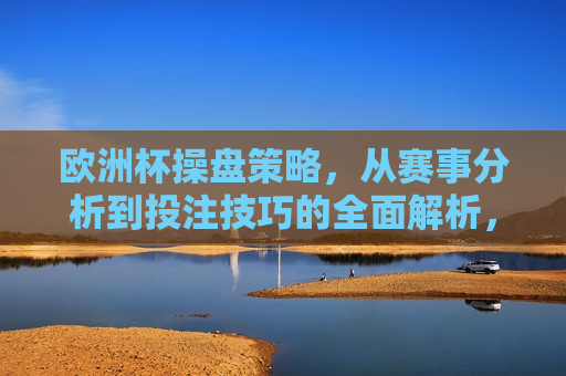 欧洲杯操盘策略，从赛事分析到投注技巧的全面解析，欧洲杯赛事分析与投注技巧，操盘策略全面解析，欧洲杯赛事分析与操盘策略，全面解析投注技巧