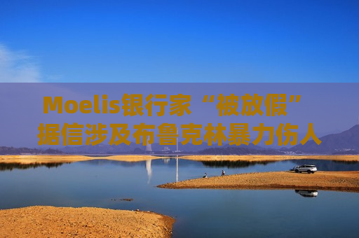 Moelis银行家“被放假” 据信涉及布鲁克林暴力伤人事件  第1张