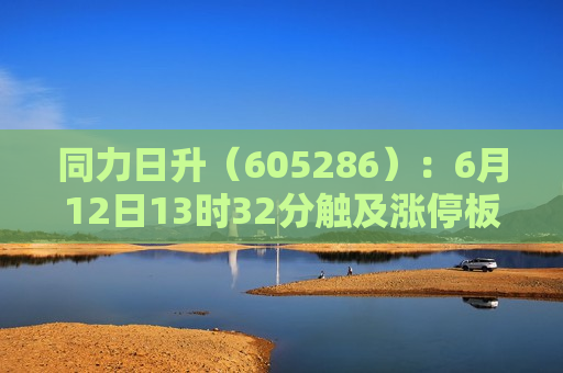 同力日升（605286）：6月12日13时32分触及涨停板