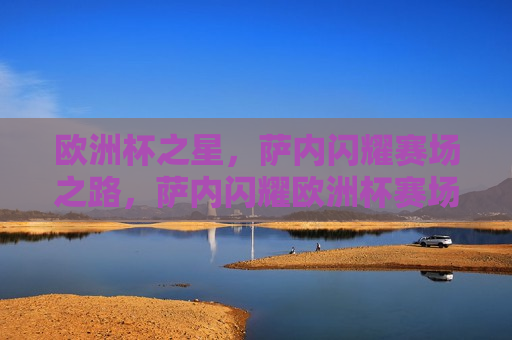 欧洲杯之星，萨内闪耀赛场之路，萨内闪耀欧洲杯赛场之路，萨内闪耀欧洲杯赛场，新星崛起之路