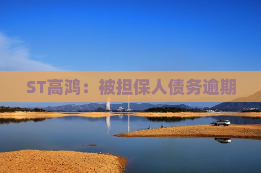 ST高鸿：被担保人债务逾期