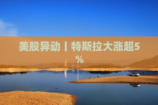 美股异动丨特斯拉大涨超5%  第1张