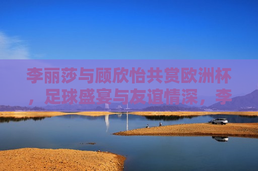 李丽莎与顾欣怡共赏欧洲杯，足球盛宴与友谊情深，李丽莎与顾欣怡同享足球盛宴，欧洲杯下的友情与欢乐，李丽莎与顾欣怡同赏欧洲杯，足球盛宴下的友情与欢乐