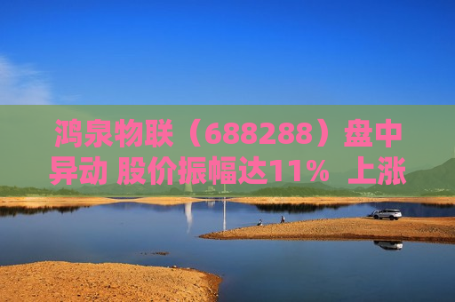 鸿泉物联（688288）盘中异动 股价振幅达11%  上涨7.86%（06-13） 第1张