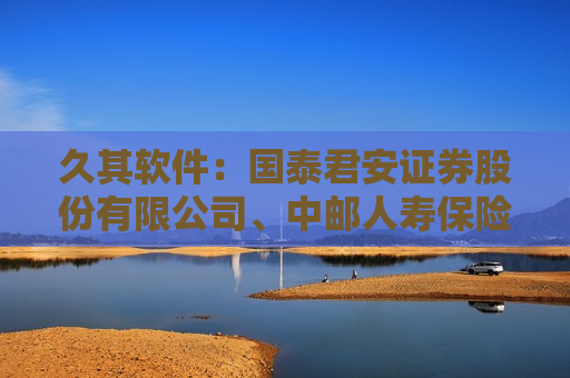 久其软件：国泰君安证券股份有限公司、中邮人寿保险股份有限公司等多家机构于6月13日调研我司