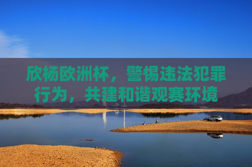 欣杨欧洲杯，警惕违法犯罪行为，共建和谐观赛环境