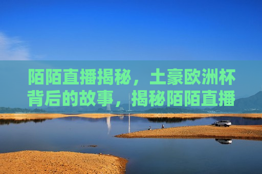 陌陌直播揭秘，土豪欧洲杯背后的故事，揭秘陌陌直播，土豪欧洲杯背后的故事，陌陌直播背后的故事，揭秘土豪欧洲杯之旅