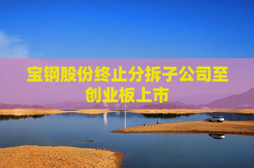 宝钢股份终止分拆子公司至创业板上市  第1张