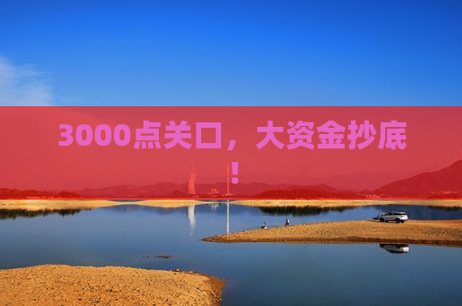 3000点关口，大资金抄底！  第1张