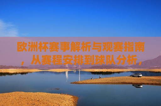欧洲杯赛事解析与观赛指南，从赛程安排到球队分析，让你成为欧洲杯达人，欧洲杯赛事全解析，成为观赛达人的必备指南，欧洲杯赛事全解析，观赛达人必备指南