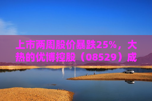 上市两周股价暴跌25%，大热的优博控股（08529）成申购反面教材？  第1张