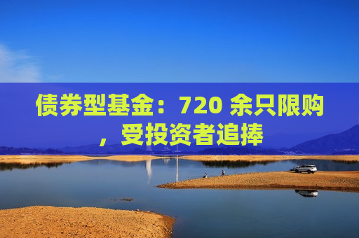 债券型基金：720 余只限购，受投资者追捧  第1张
