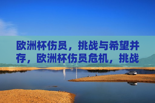 欧洲杯伤员，挑战与希望并存，欧洲杯伤员危机，挑战与希望同行