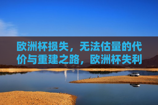 欧洲杯损失，无法估量的代价与重建之路，欧洲杯失利，重建之路与挑战的代价，欧洲杯失利后的重建之路与挑战的沉重代价  第1张