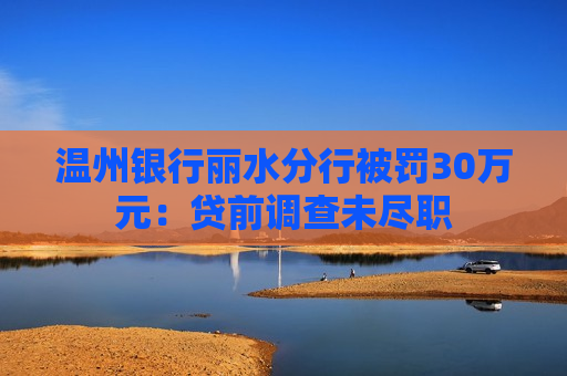 温州银行丽水分行被罚30万元：贷前调查未尽职  第1张