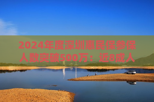 2024年度深圳惠民保参保人数突破500万：近8成人使用医保个账支付保费