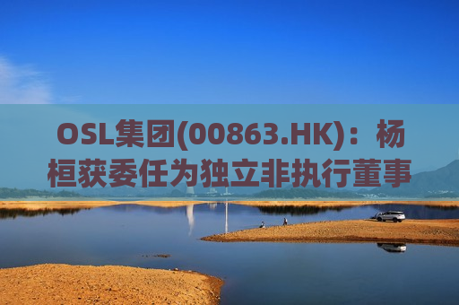 OSL集团(00863.HK)：杨桓获委任为独立非执行董事