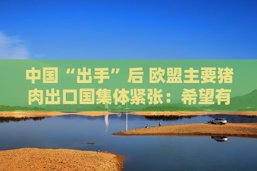 中国“出手”后 欧盟主要猪肉出口国集体紧张：希望有谈判空间