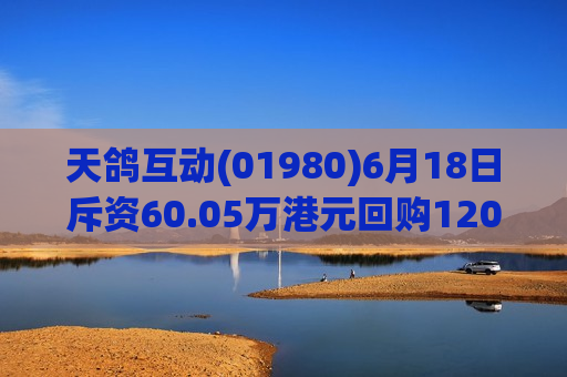 天鸽互动(01980)6月18日斥资60.05万港元回购120.1万股  第1张