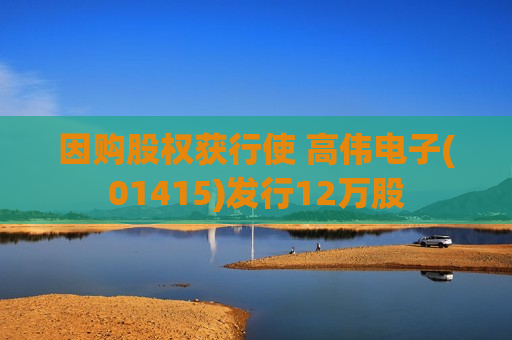 因购股权获行使 高伟电子(01415)发行12万股
