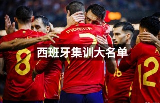 西班牙足球国家队名单(西班牙足球队队员名单出炉)
