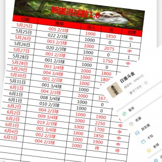 2016欧洲杯比利时比分(2016欧洲杯比利时比分分析)
