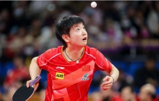 国乒史上最强5人是谁(许昕说孙颖莎都是王楚钦宠的)
