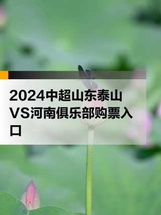 中超联赛购票官网(中超联赛购票官网上海)