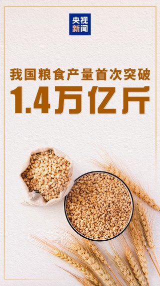 首次突破1.4万亿斤，再获丰收！
