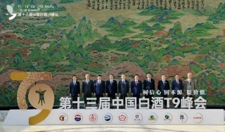 张联东：江苏酒业不能掉链子的简单介绍