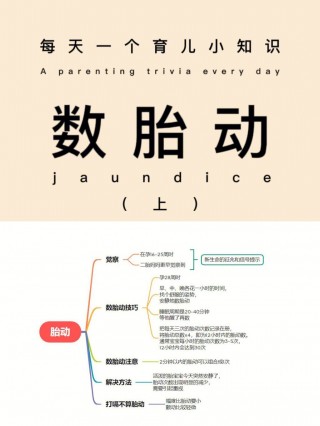 欧洲杯什么时候开始数胎动(今年欧洲杯什么时候开始比赛)