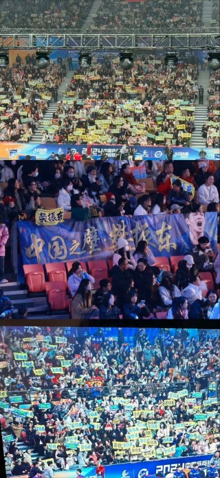 世界乒乓球锦标赛现场直播(世界乒乓球锦标赛现场直播回放)