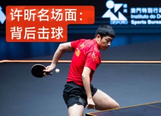 关于许昕是全世界唯一一个左手直拍吗的信息