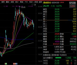 芯片概念，热度之一，重磅透露！光伏龙头扎堆上榜