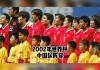 2002年世界杯对阵图(2002世界杯对阵图及比分)