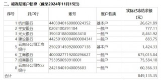 公告又晚了三个月，一正保险与员工劳动争议致8个银行账户被冻结，年内信披多次“迟到”