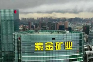 狂飙的中国金王，每月净赚20亿