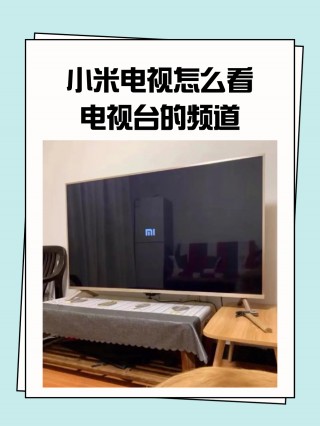 看全国电视台在线直播(看全国电视台在线直播节目)