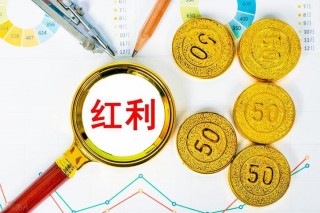 金鹰基金邹卫：债券市场走牛大逻辑未变的简单介绍
